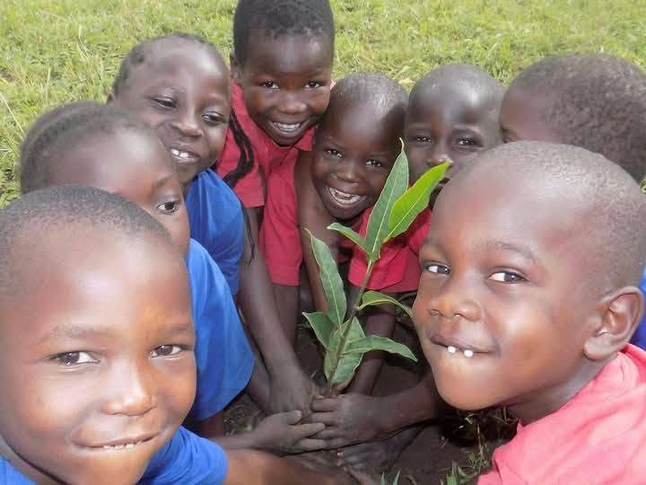 Smiling children gather around a young seedling